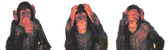 kijkuit.gif (7532 bytes)